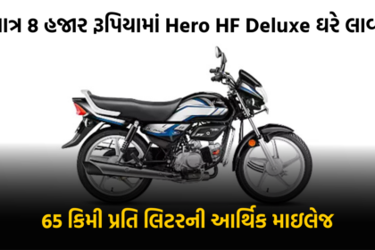 Hero HF Deluxe